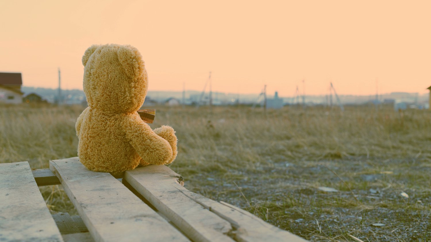 MalePsychology's tweet card. Mother ‘explained’ to me that we had to leave our father for our own protection. Father, I was told, was a very dangerous man.