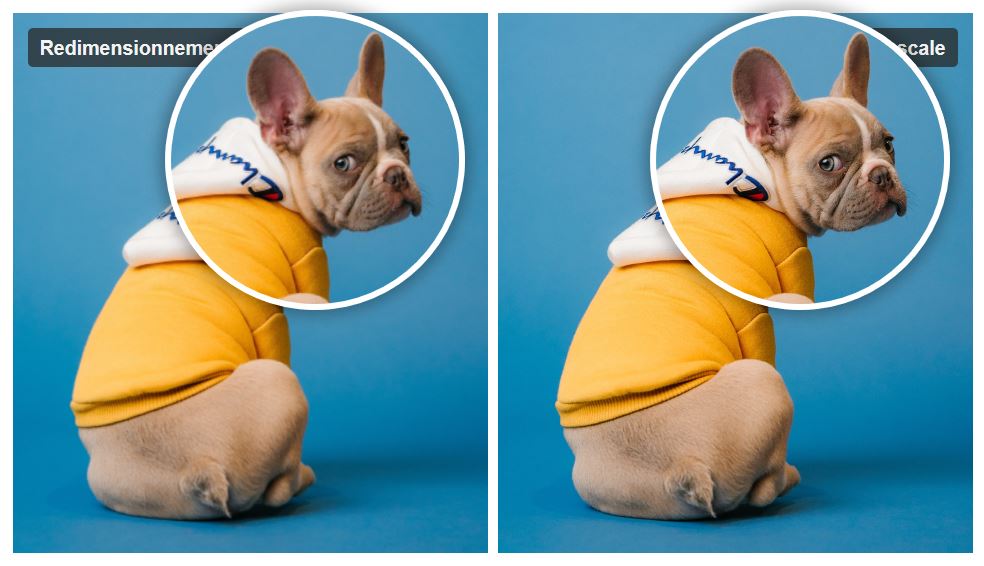 Byothe's tweet card. Upscale est un outil gratuit et en ligne permettant d'agrandir une image de 2, 4 ou même 8 fois sa taille d'origine en limitant la perte de qualité.