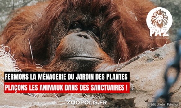 Esprit10Libre's tweet card. Animaux - Signez la pétition : Fermons la Ménagerie, le zoo du Jardin des Plantes de Paris