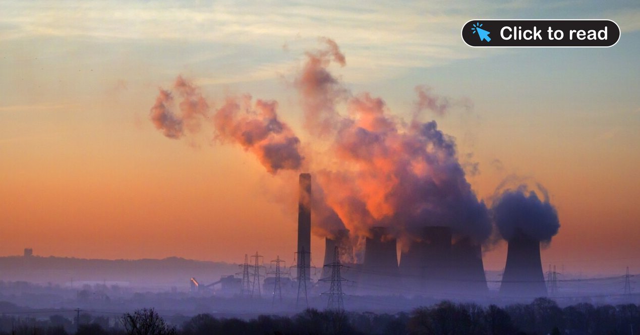 toadmeister's tweet card. Carbon dioxide has almost no effect on global temperature as almost all Earth's energy flows occur via the oceans and water vapour, William Kininmonth, a former head of Australia's National Climate...