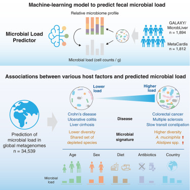 HRoager's tweet card. A machine-learning approach enables the quantification of microbial load (microbial cells per gram) in fecal samples based on the relative microbiome profile. The predicted microbial load emerged as...