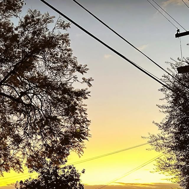 david_moses's tweet card. David Moses (@daviddmoses) • Instagram photo