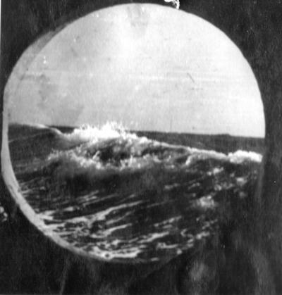 GSOSES's tweet card. The Journey of Displaced Persons to Australia