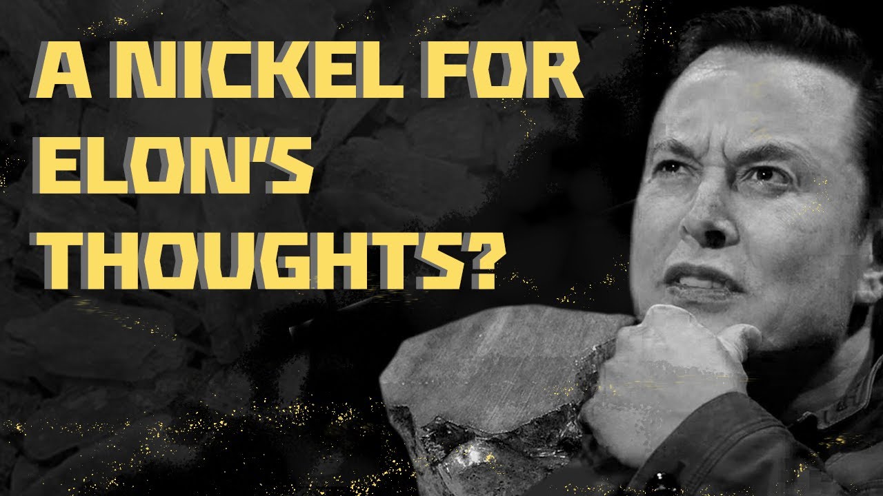 LithiumIonBull's tweet card. A Nickel for Elon's Thoughts?
