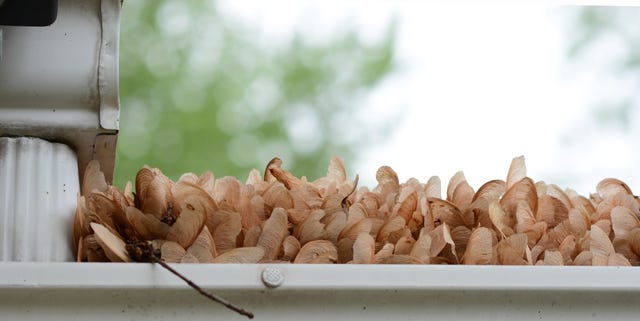 CountryLiving's tweet card. Experts warn: Clean this now or risk costly repairs later.