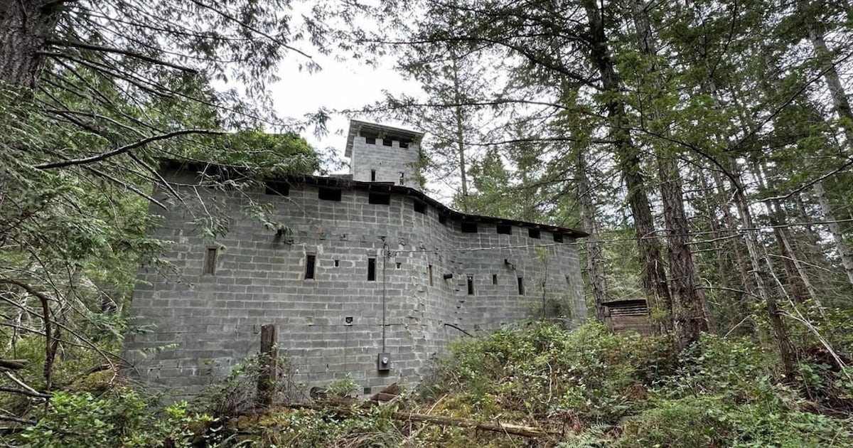 PeterKimData's tweet card. Sitting on two acres on a B.C. island, a five-storey castle with a dining hall, eight bedrooms, three turrets and a dungeon is on the market for $440,000.