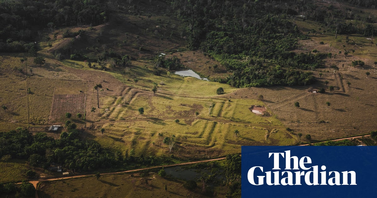 MAPHSA_project's tweet card. Archaeologists using 3D mapping are uncovering the remains of thousands of green metropolises with composted gardens, fisheries, and forests groomed into orchards