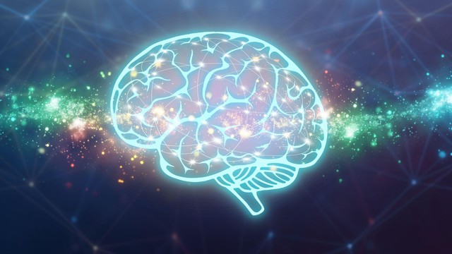 MacrinePhD's tweet card. EPFL researchers have discovered key ‘units’ in large AI models that seem to be important for language, mirroring the brain’s language system. When these specific units were turned off, the models...