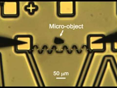 gxCodar's tweet card. Micro-muscular Breakthrough