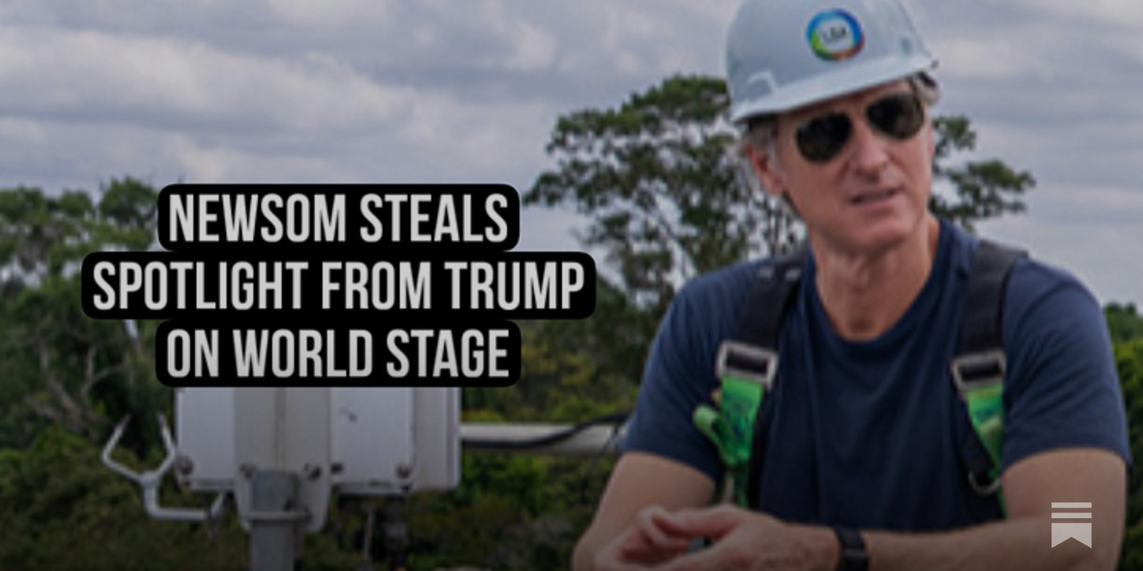 DworkinReport's tweet card. We are taking a sledgehammer to their propaganda, every day