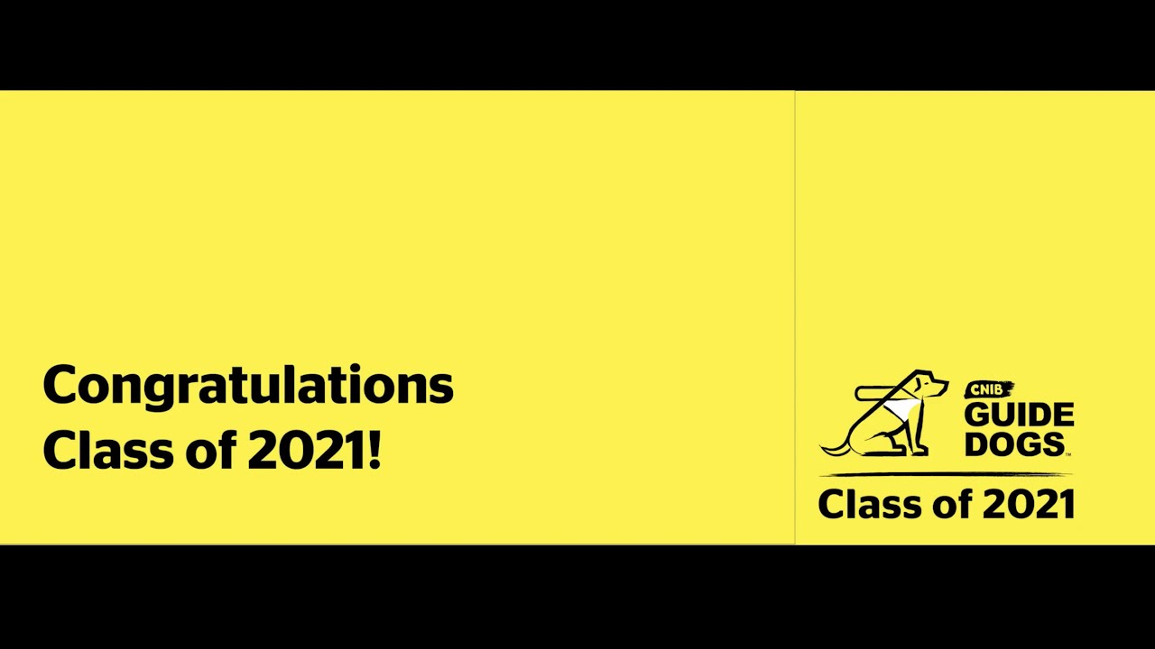 CNIB's tweet card. Class of 2021 – CNIB Guide Dogs Graduation