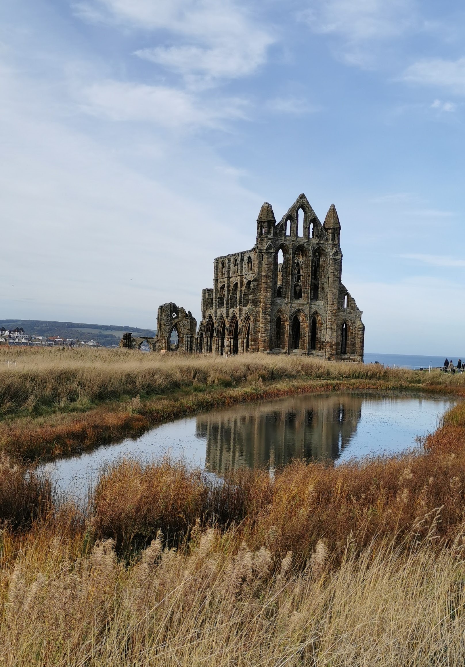 r_mileham's tweet card. Interview with Yuri Oganessian and other scientists involved in the search for superheavy elements.