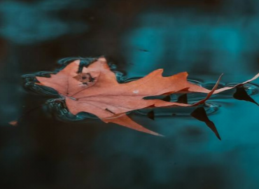 JimboStanford's tweet card. Register Now for an event dedicated to advancing workplace democracy, amplifying workers’ voices, and fostering a national dialogue on practices and institutions that promote greater employee