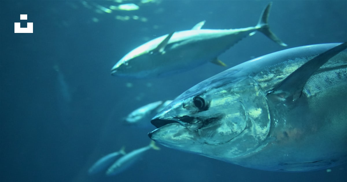 deletec1's tweet card. kate estesが撮影したこの写真をUnsplashでダウンロードする