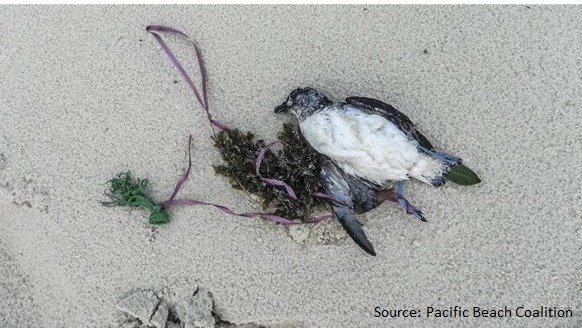 mbedekar's tweet card. Let's Ban the Intentional Release of Balloons in Michigan to Save our Wildlife & Economy!