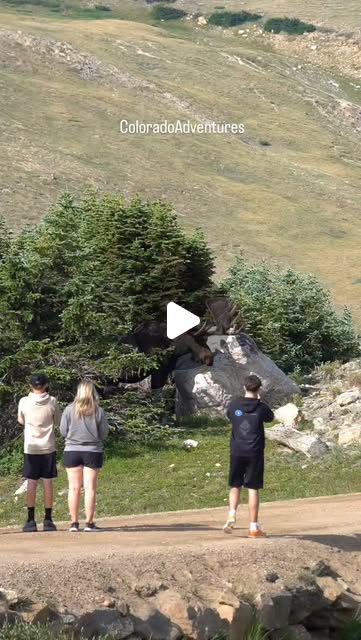 diannecope13469's tweet card. Seth Powell (@coloradoadventuresco) • Instagram reel