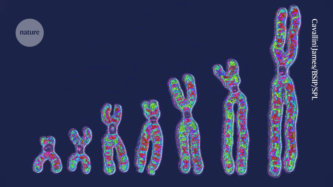 Nature's tweet card. Nature - Technical advances allow researchers to trace the genetic changes that occur over time.