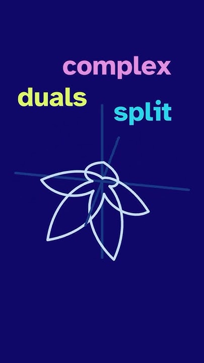 alegator_cs's tweet card. rotating from complex to split complex