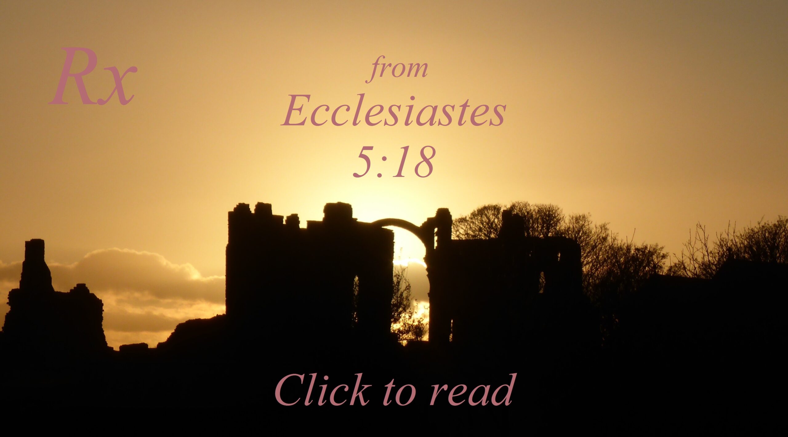 etheldredanet's tweet card. A short post on Ecclesiastes 5:18, ‘that which I have seen to be good and proper is for one to eat and to drink, and to enjoy good in all his labour, in which he labours under the sun, all the days...