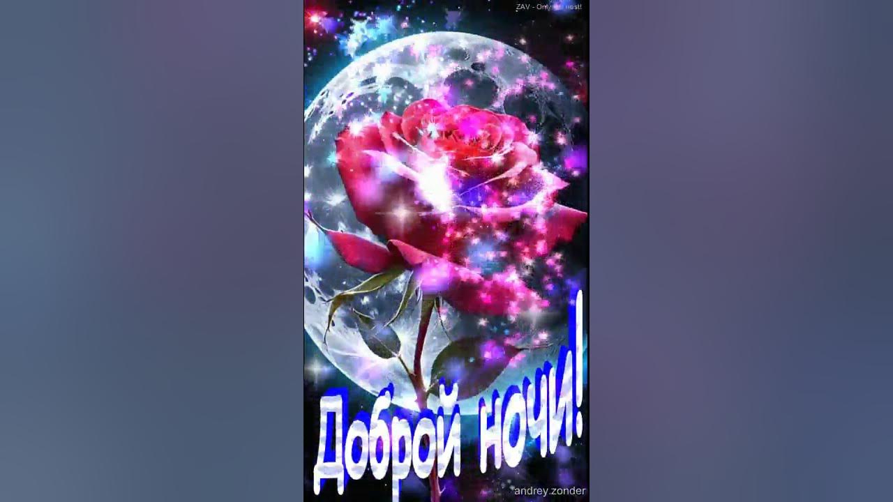 ZonderAV's tweet card. Доброй ночи!) Красивых снов) #добройночи