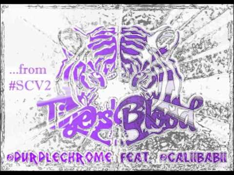PurpleChrome's tweet card. Tiger Blood #SCV2 Intro (@PurpleChrome feat. CaLiiBaBii) #SuperColl...