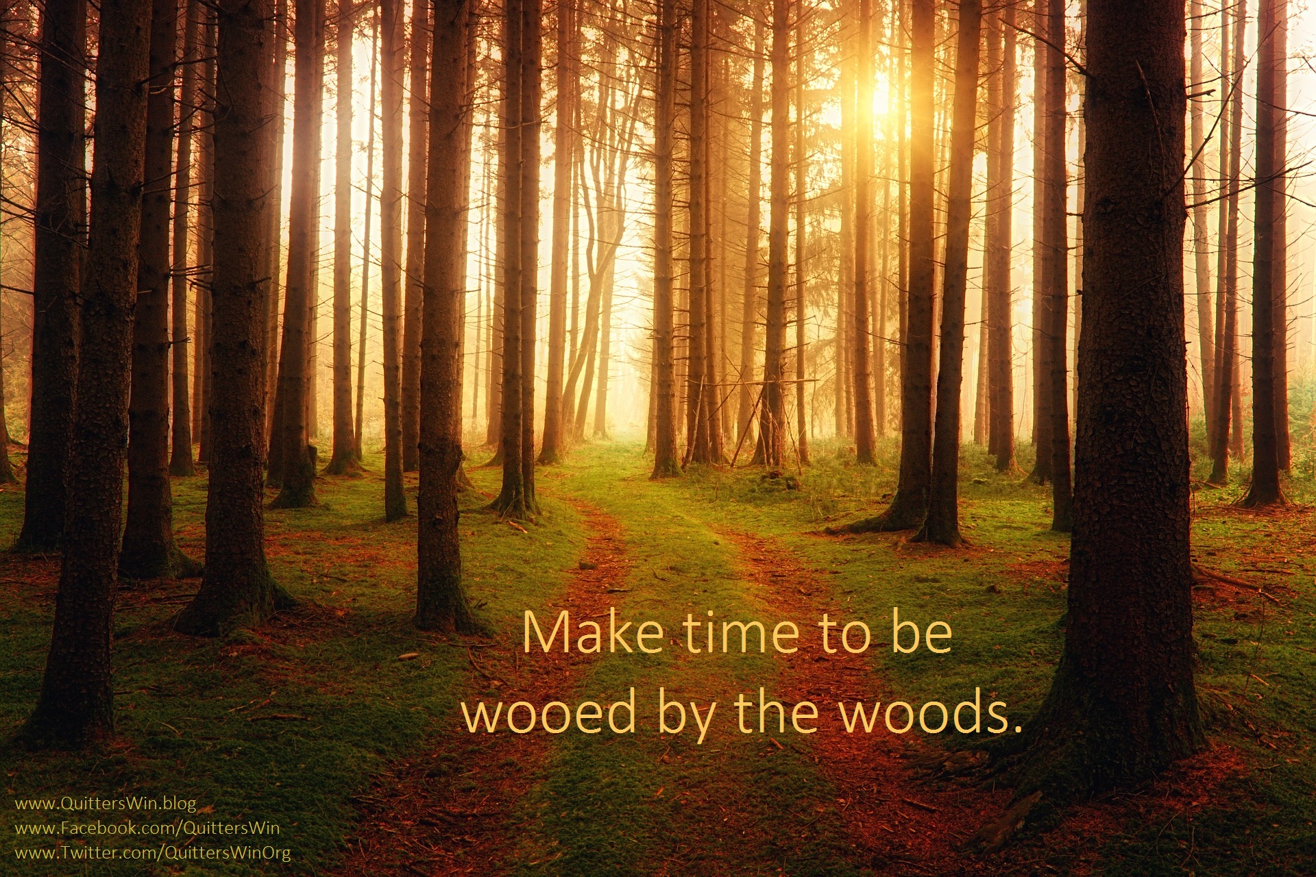 QuittersWinOrg's tweet card. This weekend, countless earthlings will mark Earth Day with celebrations of various sorts. On a personal level, every day the Earth offers us a chance to be still, to seek communion with nature, to...