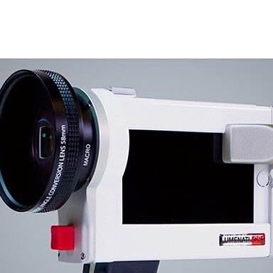 SpringTranslate's tweet card. The SpringTranslate Group (@springtranslate) • Instagram photo