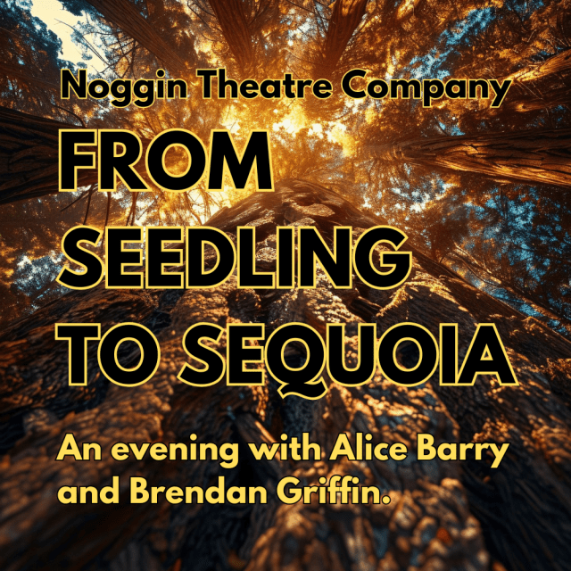 MidletonArts's tweet card. Midleton Arts Festival 2024 – Celebrate ‘Treedom’! Immerse yourself in a vibrant celebration of art, nature, and community. Enjoy live performances, interactive workshops, and family-friendly...