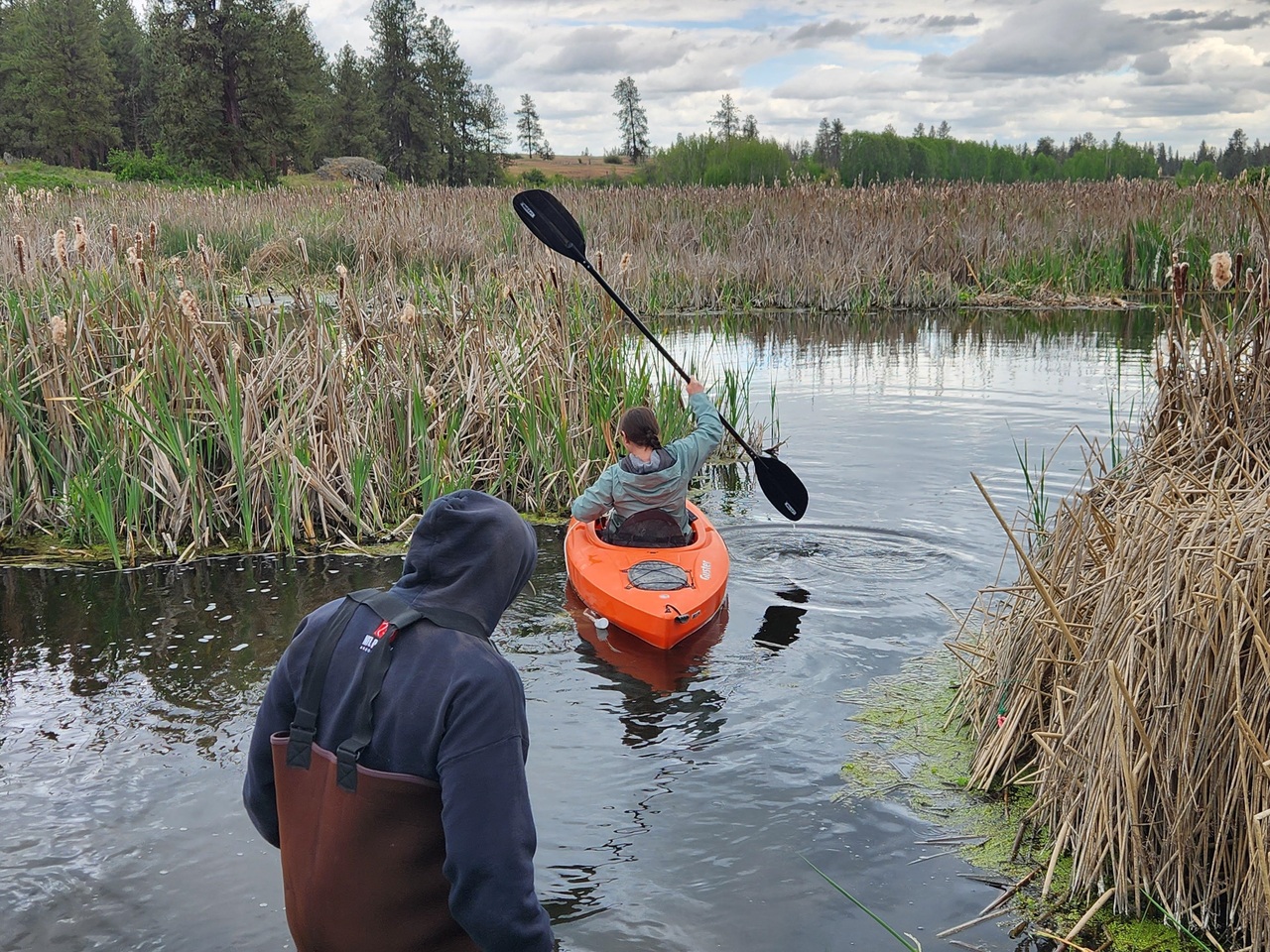 bugbittentweets's tweet card. Krisztian Magori summarizes the One Health-related research projects that students in his Disease Ecology Senior Capstone class completed this Spring quarter, demonstrating their work ethic and...
