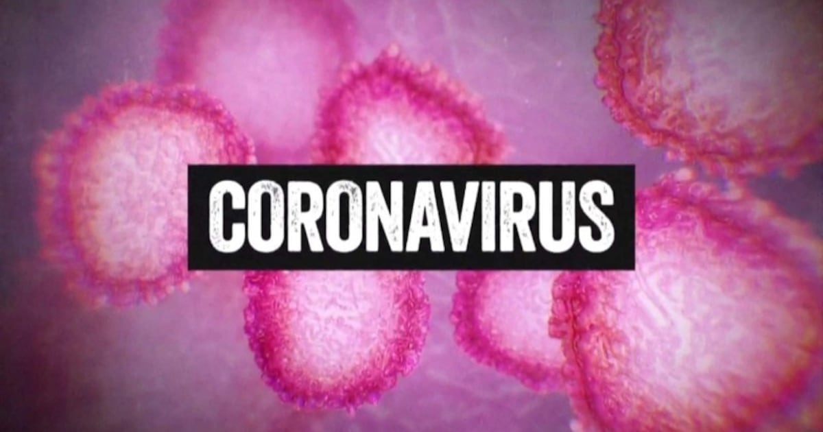 easyreader171's tweet card. Florida health officials reported another record-shattering day of cases with more than 9,500 new cases of COVID-19 on Saturday.