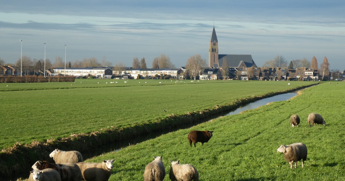 MattijsGlas's tweet card. De Lopikse Fleur* (26) woont noodgedwongen in een verbouwde schapenschuur bij haar ouders op het erf. Zoals veel starters kan ze (nog) geen betaalbare woning vinden. Weer bij haar ouders intrekken...