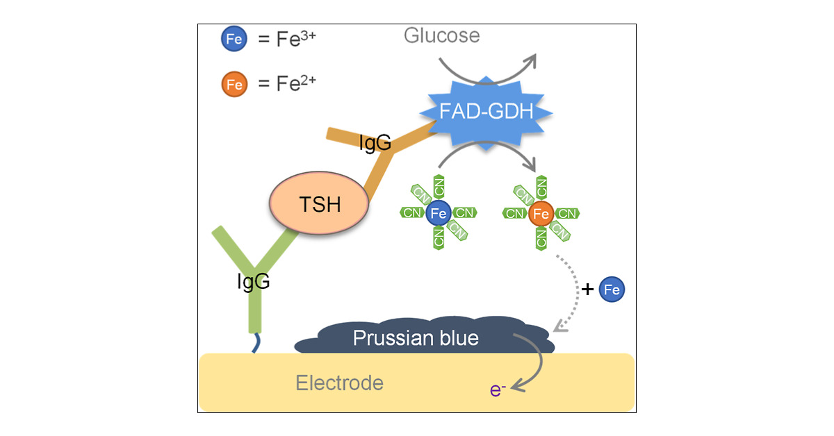 ACS_Sensors's tweet card. Sensitive and/or multiplex electrochemical biosensors often require efficient (bio)catalytic conversion of substrates into insoluble electroactive products. The enzymatic formation and precipitation...
