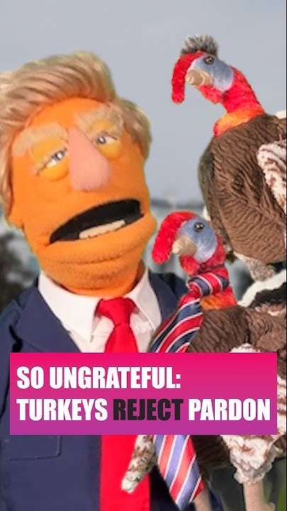 E_S_uit_B's tweet card. Ungrateful Turkeys REJECT pardon
