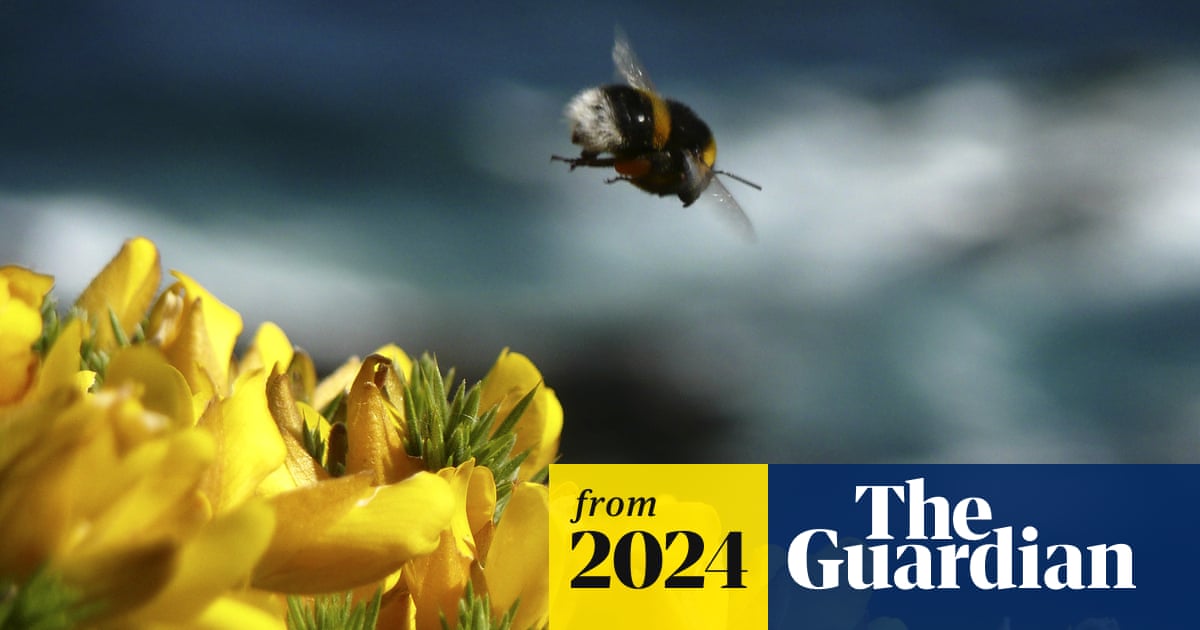 leanahosea's tweet card. Campaigners say next government must reduce use and toxicity of pesticides before it is too late