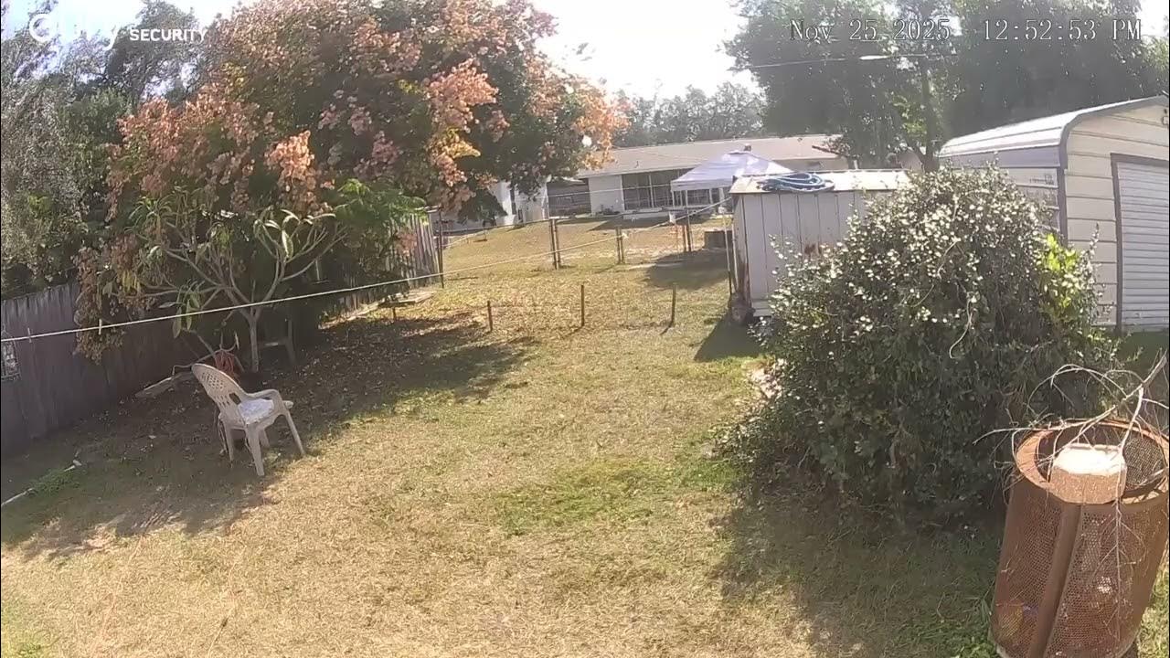 theflowernurse's tweet card. Every time he goes outside he gets harassed.