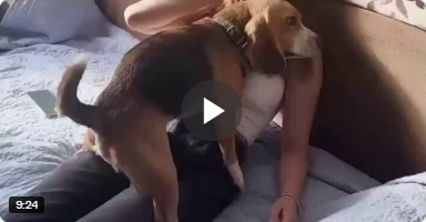 CryKinj_pOFrn's tweet card. 67:42