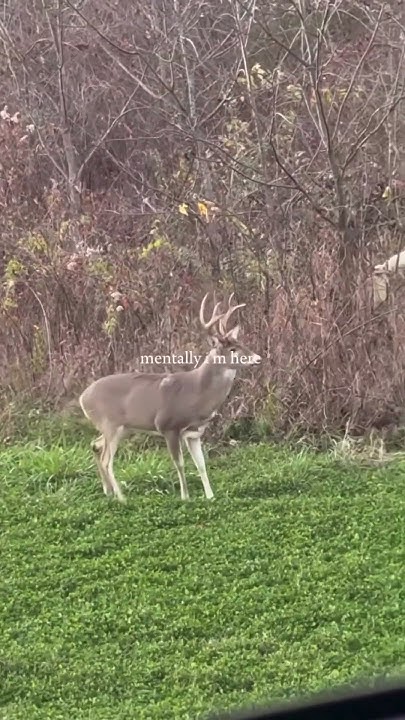 cruziome's tweet card. Who can relate?