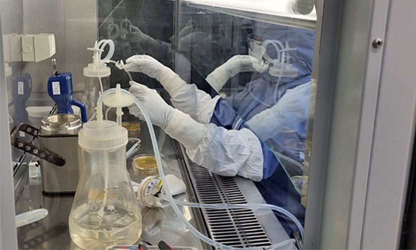 CSIRO's tweet card. Advances in bioconjugation and theranostics are enabling precise, targeted therapies for conditions like cancer and diabetes, reducing side effects and improving treatment effectiveness.