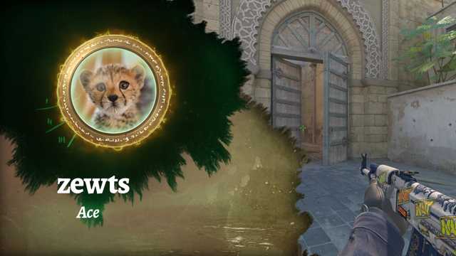 zewtscs's tweet card. Ace