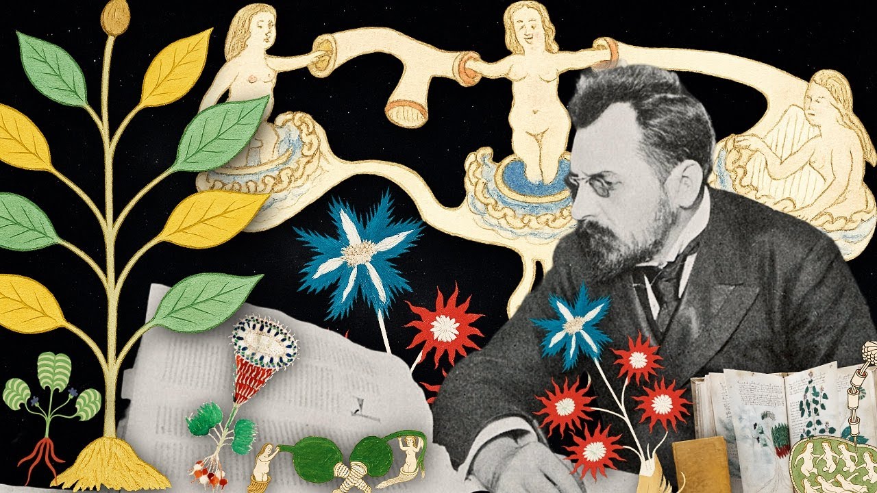 Modular_Airport's tweet card. Le manuscrit de VOYNICH : Une énigme qui défie le temps