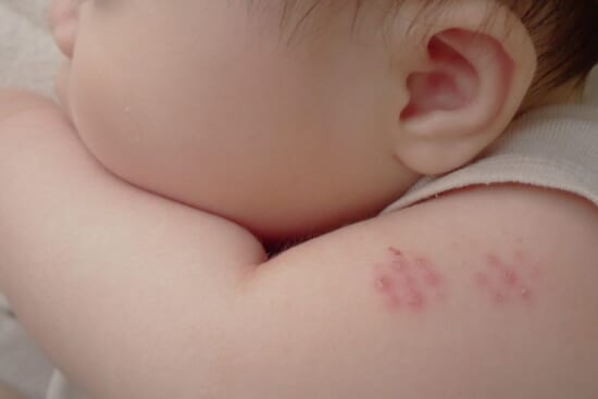 BanziroG's tweet card. 　久しぶりに、なるべく多くの人に読んでほしい本に出会った。 　それがこの『偽善医療』なのだが、藤井聡氏は経済学の立場から、木村盛世氏は公衆衛生学の立場から、日本の医療は無駄が多く、患者のためになっ