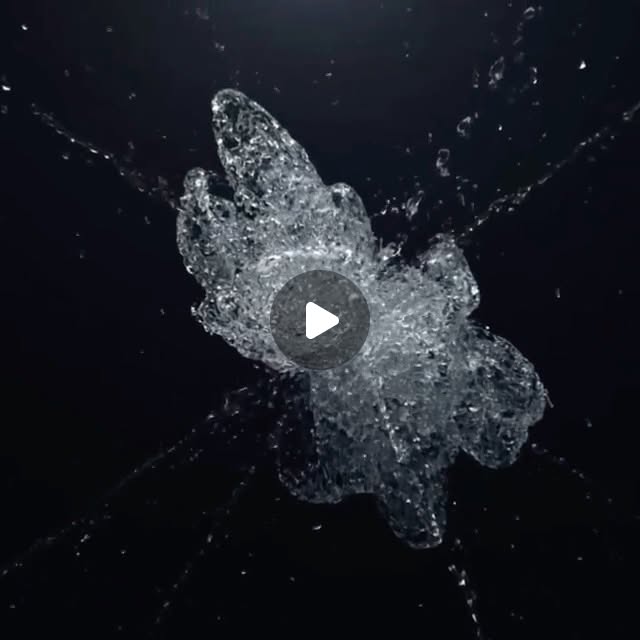 sipnvibeslc's tweet card. Paul Hill (@damnpaulwhy) • Instagram video