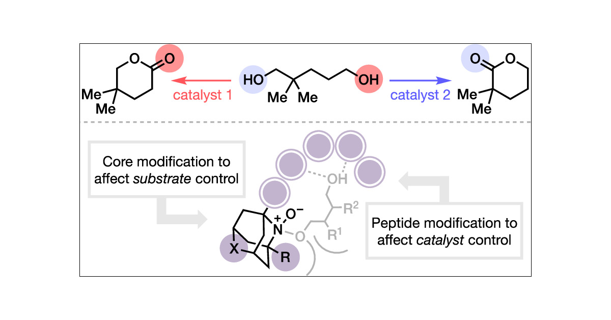 chenfei_liu's tweet card. In this work we use aminoxyl-peptide conjugates to catalyze the regiodivergent oxidation of unsymmetrical diols. Through structural tuning of both the aminoxyl catalytic core and the chiral peptide...