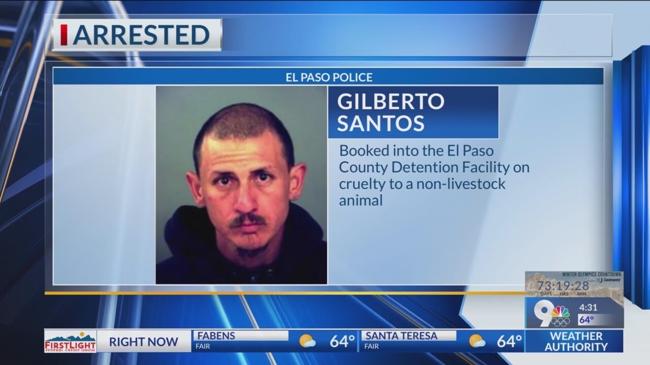 DOMESTIC_TERROR's tweet card. Social media video leads to animal cruelty arrest