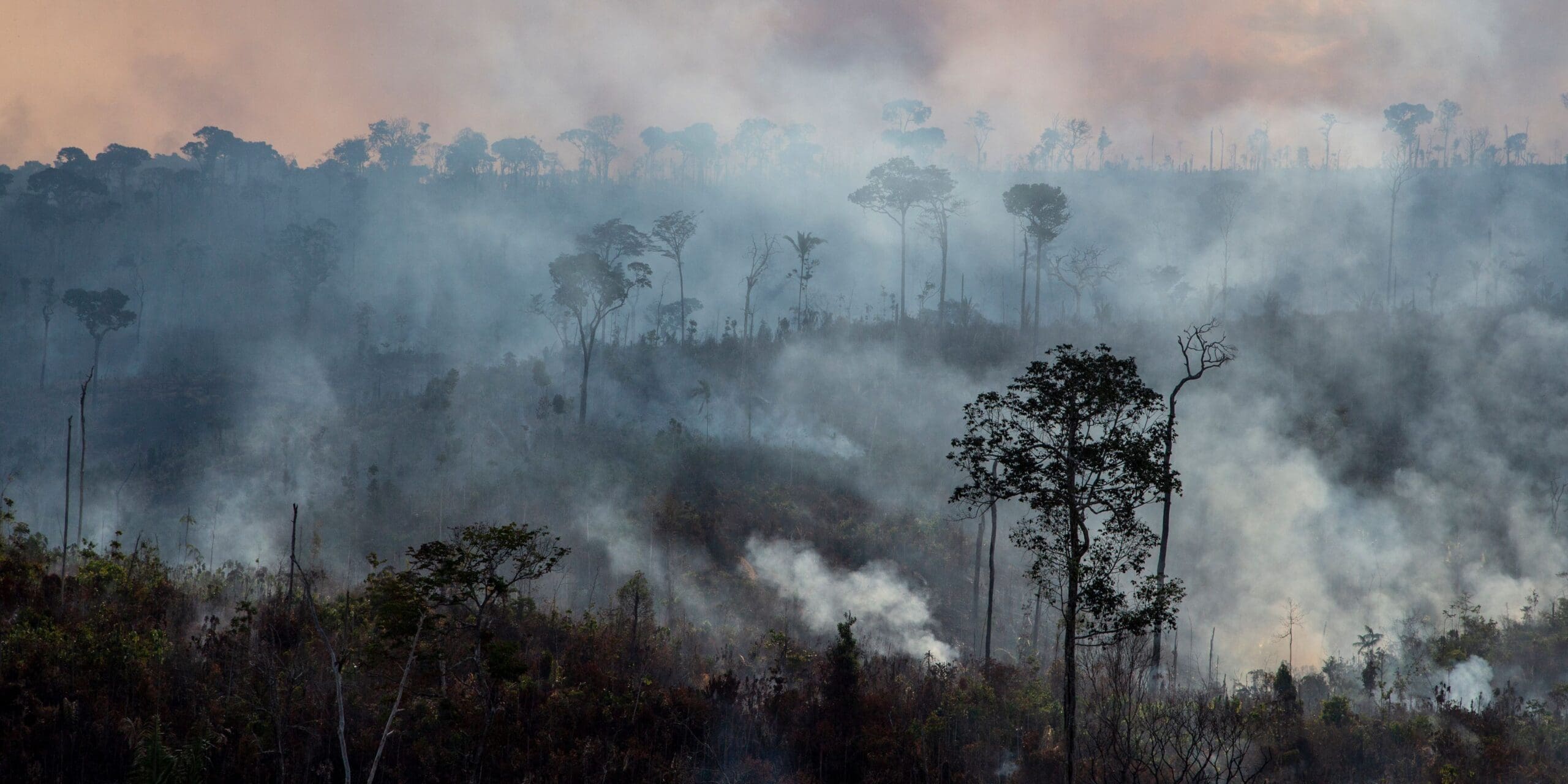 JohnClke's tweet card. The COP30 Global Climate Summit  in Belém, Brazil marked the 10th anniversary of the landmark Paris Accord, where countries agreed to limit global warming to 1.5 C above pre-industrial levels by...