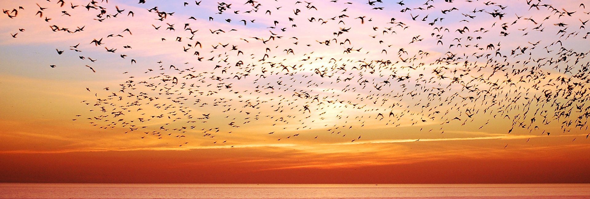 PregnancyLossIE's tweet card. Learn, Study and Research in UCC, Ireland's first 5 star university. Our tradition of independent thinking will prepare you for the world and the workplace in a vibrant, modern, green campus.