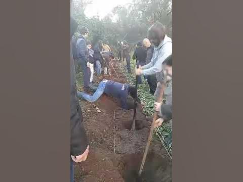 ReflorestarPt's tweet card. Agroforest Course 8 Dez 2018, Lisbon, Portugal