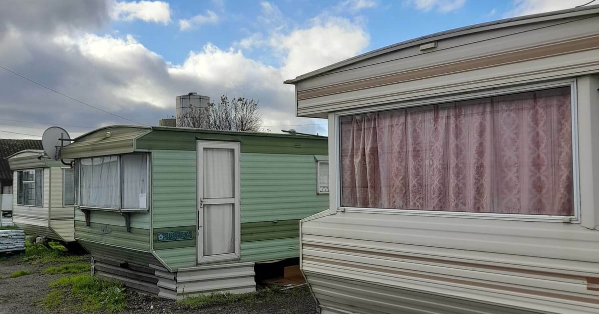 Mellino's tweet card. Forced to share beds and live in freezing caravans with leaking ceilings, all while paying more per square foot than for a flat in London – migrant farm…