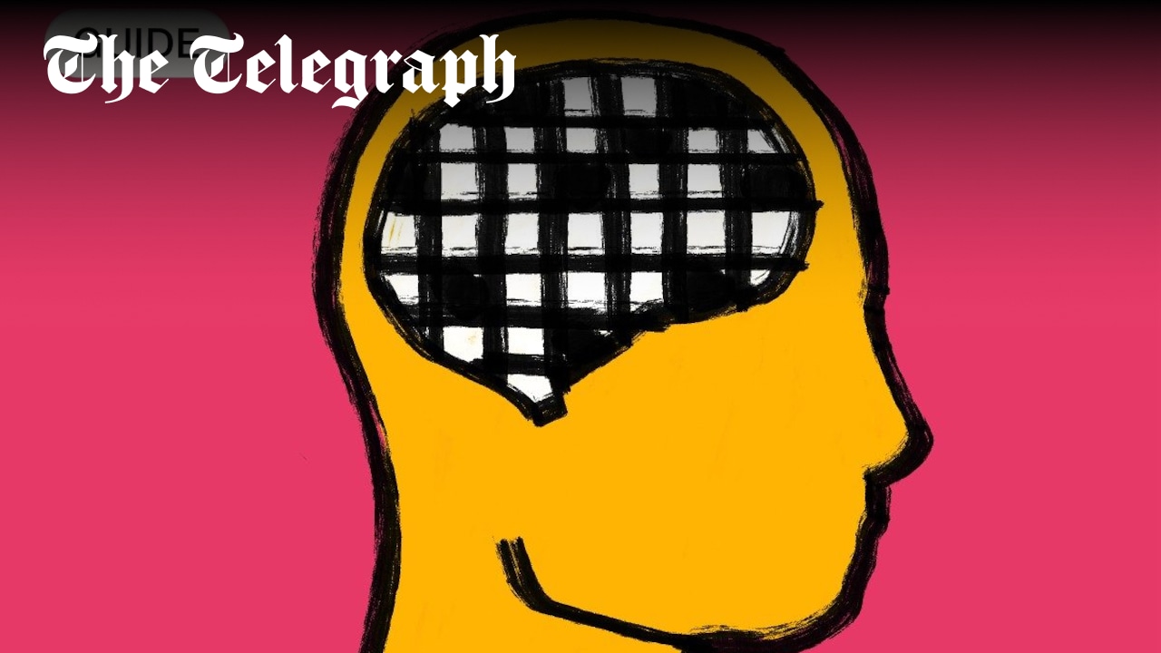 suzijsapiets's tweet card. A controversial term used to describe autistic people with normal to high intellect