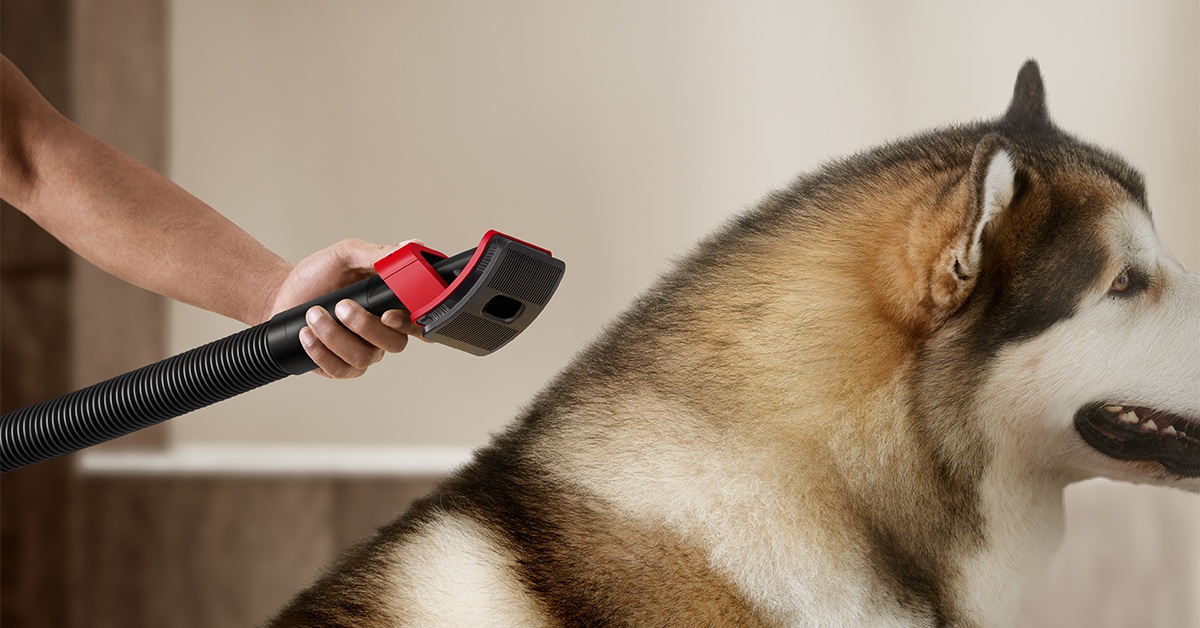 GeekZillaTech's tweet card. Cuando llega el invierno, no solo bajan las temperaturas, también se disparan los niveles de polvo y alérgenos dentro de casa. Con las ventanas cerradas y